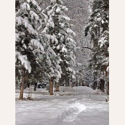 Im Winter