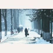 Im Winter