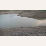 Der Stausee Kassansayskoe 
